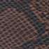 Brown Snake Print